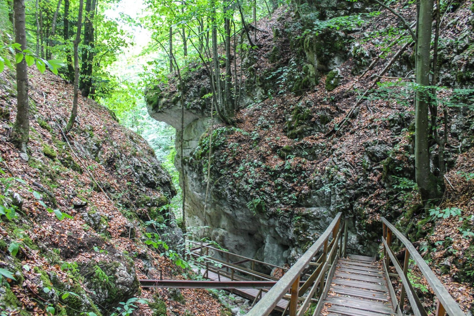 Na začiatku Steinwandklamm