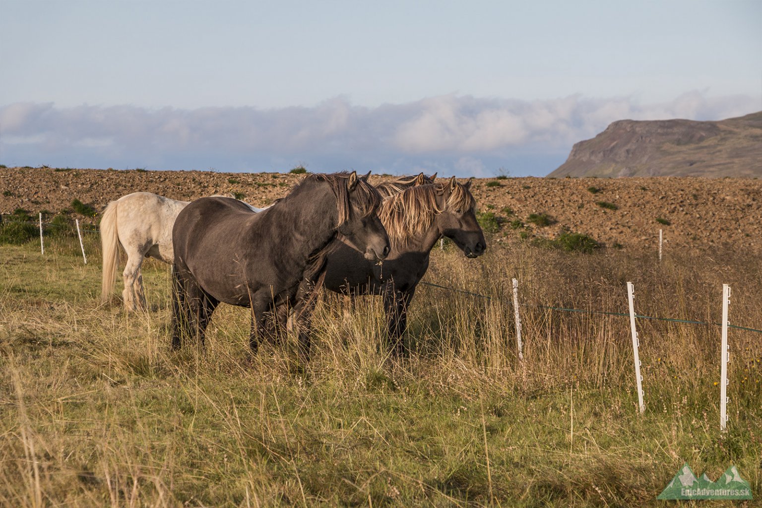 Pri západe slnka v meste Borgarfjörður Eystri;     Foto: epicadventures.sk