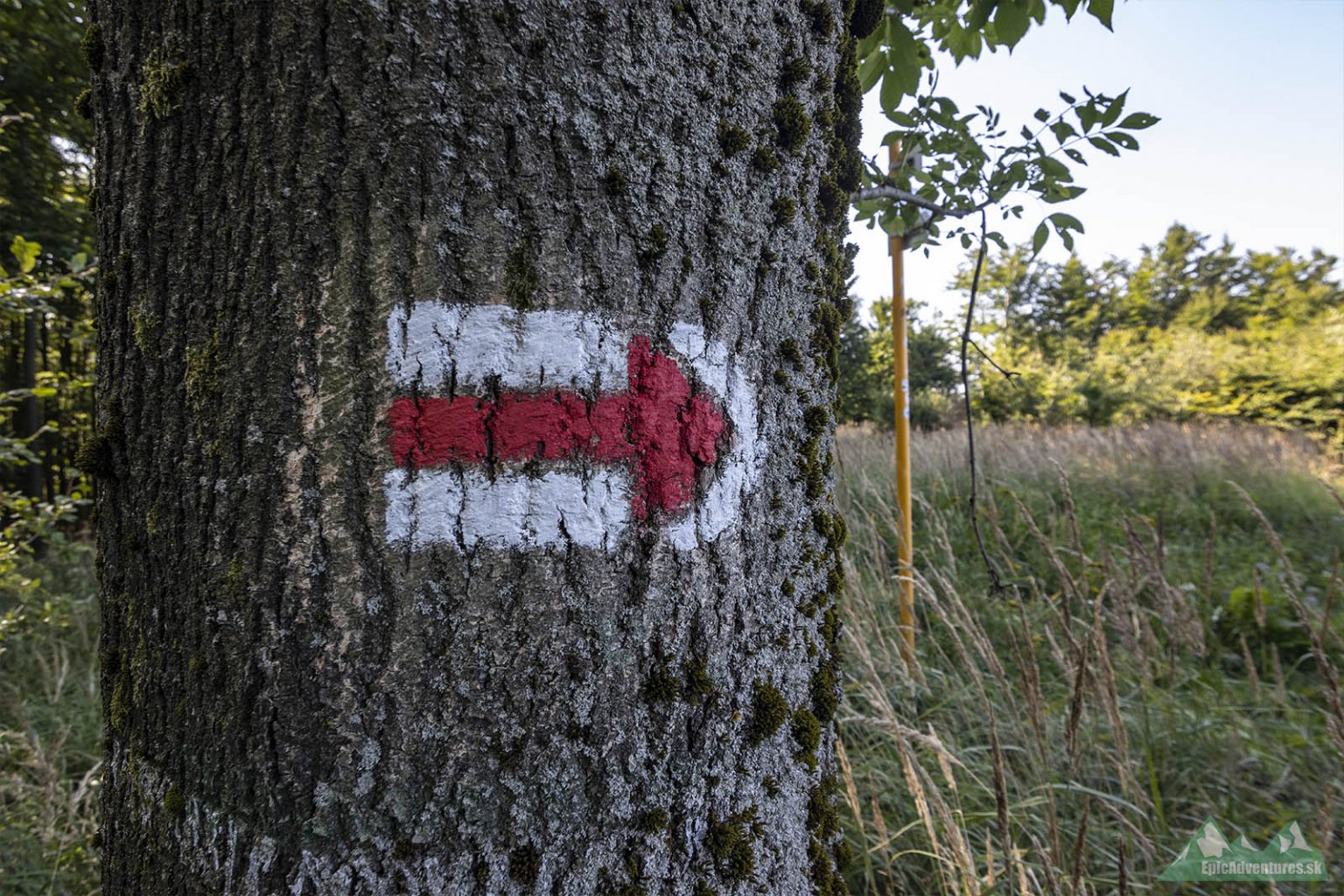 Červená turistická značka, ktorou je Cesta hrdinov SNP značená. 