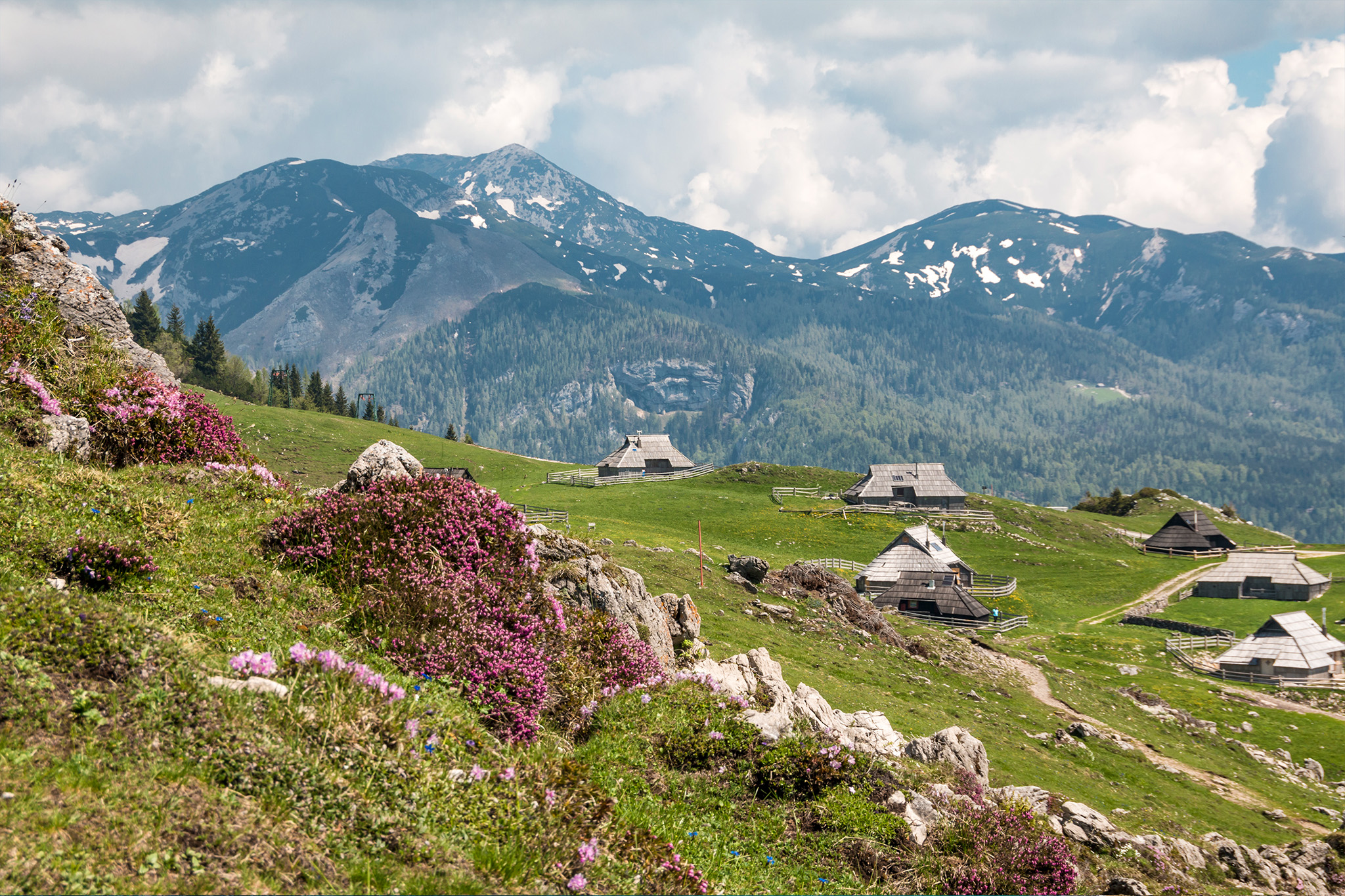 Velika planina