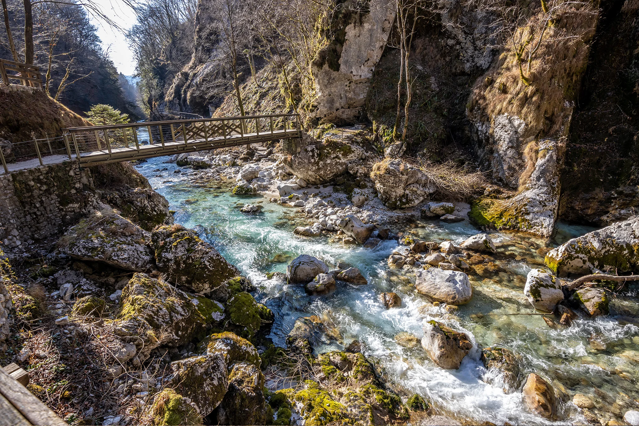 Tolninská tiesňava
