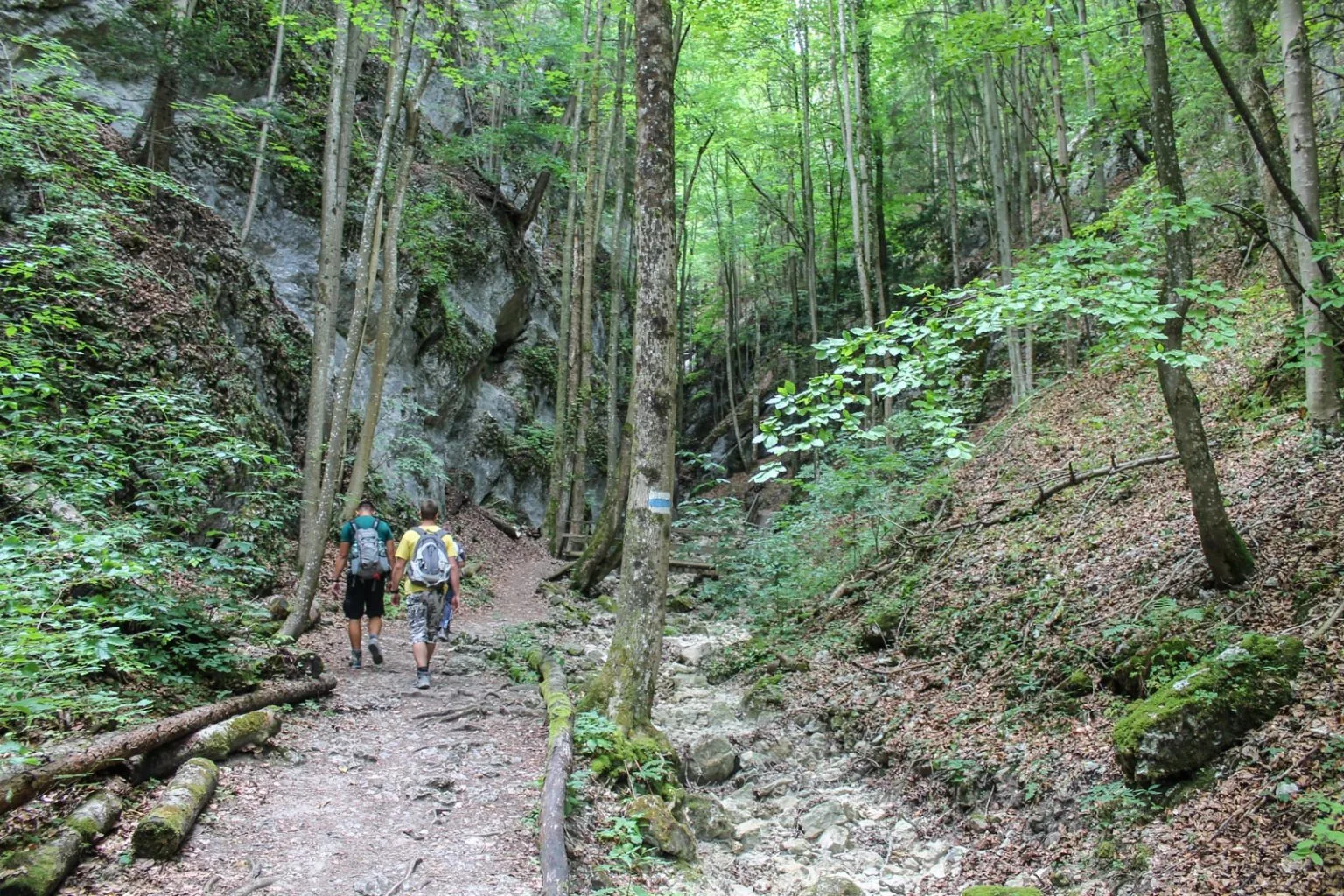 Denník nádejného dobrodruha, 3. záznam: Keď počasie nedopraje