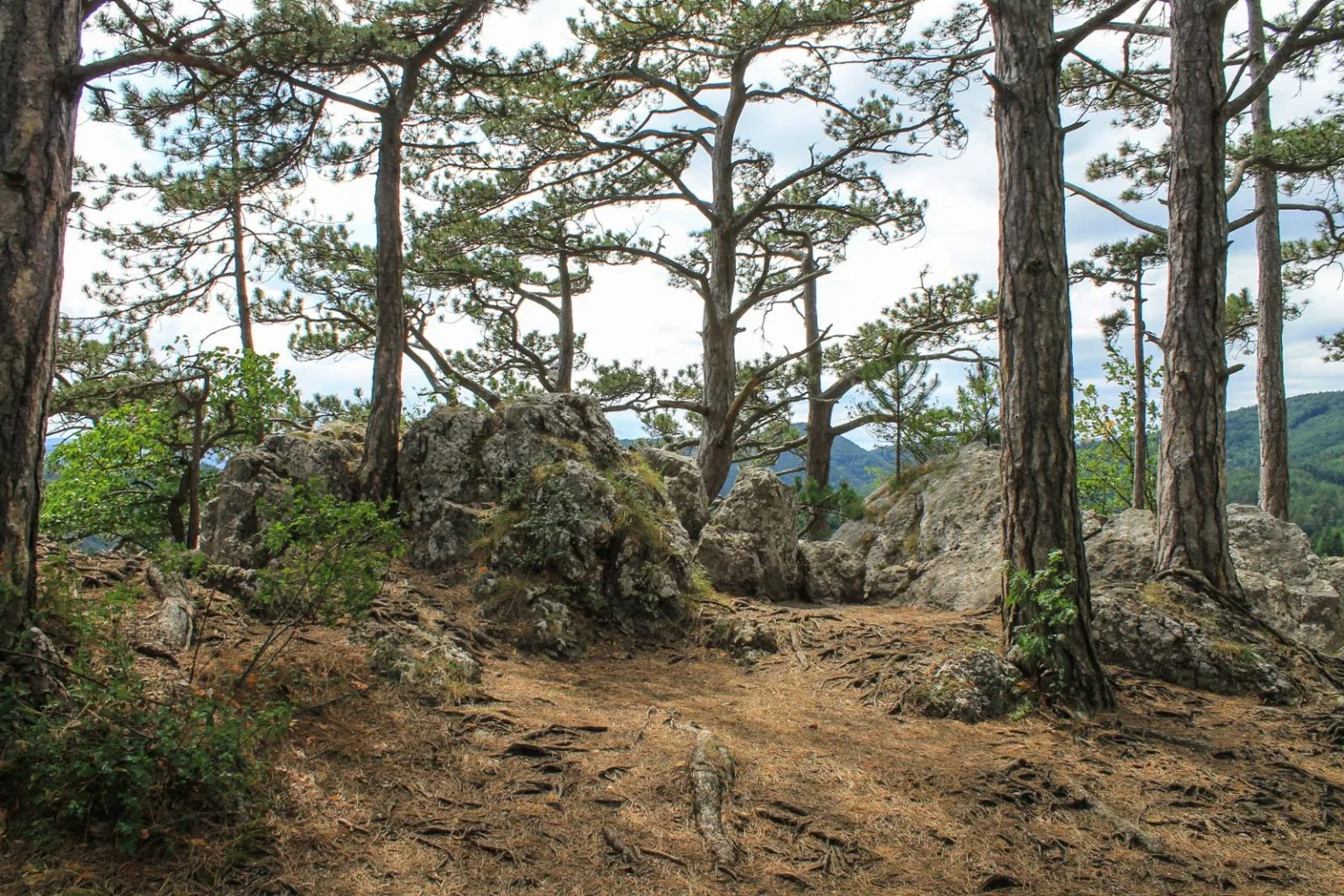 Denník nádejného dobrodruha, 3. záznam: Keď počasie nedopraje