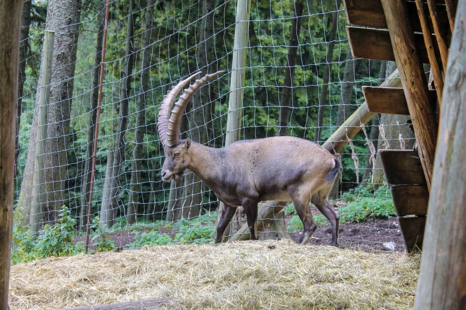 Denník nádejného dobrodruha, 3. záznam: Keď počasie nedopraje