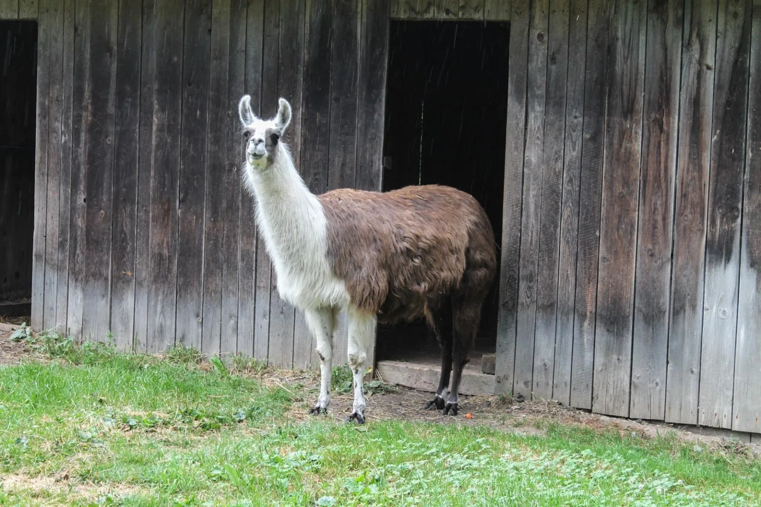 Denník nádejného dobrodruha, 3. záznam: Keď počasie nedopraje