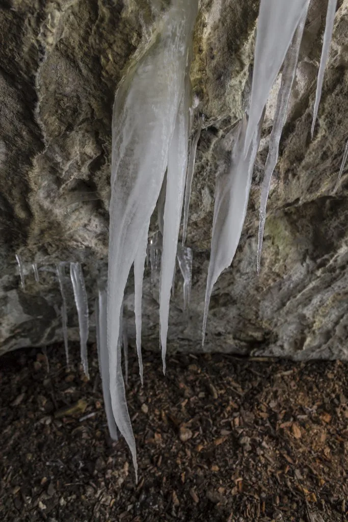 Cervenica, Malé Karpaty