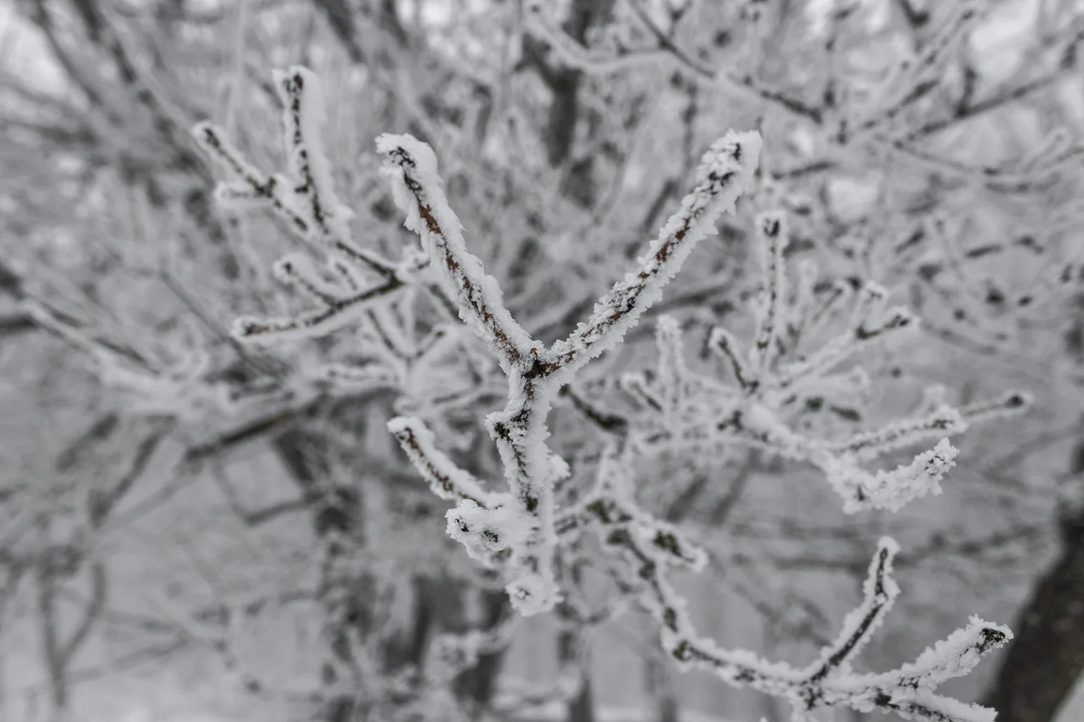 Vápenná (Roštún), Malé Karpaty