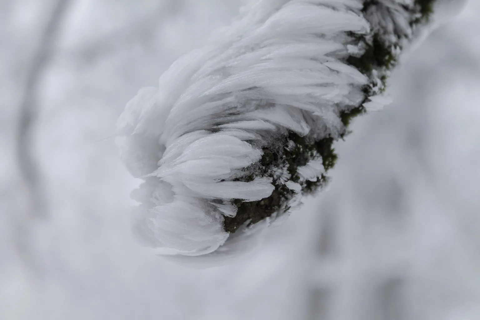 Vápenná (Roštún), Malé Karpaty