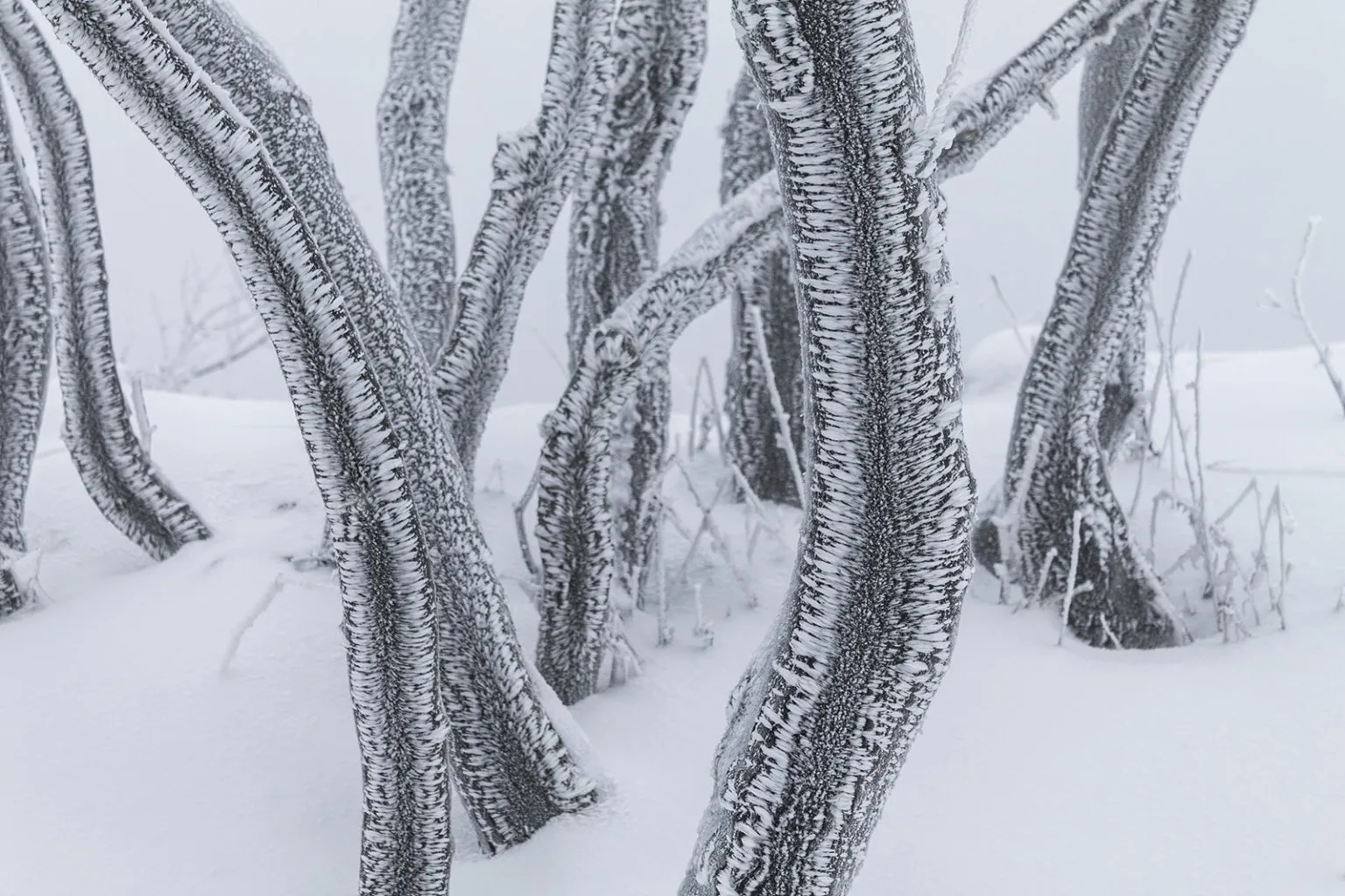 Vápenná (Roštún), Malé Karpaty