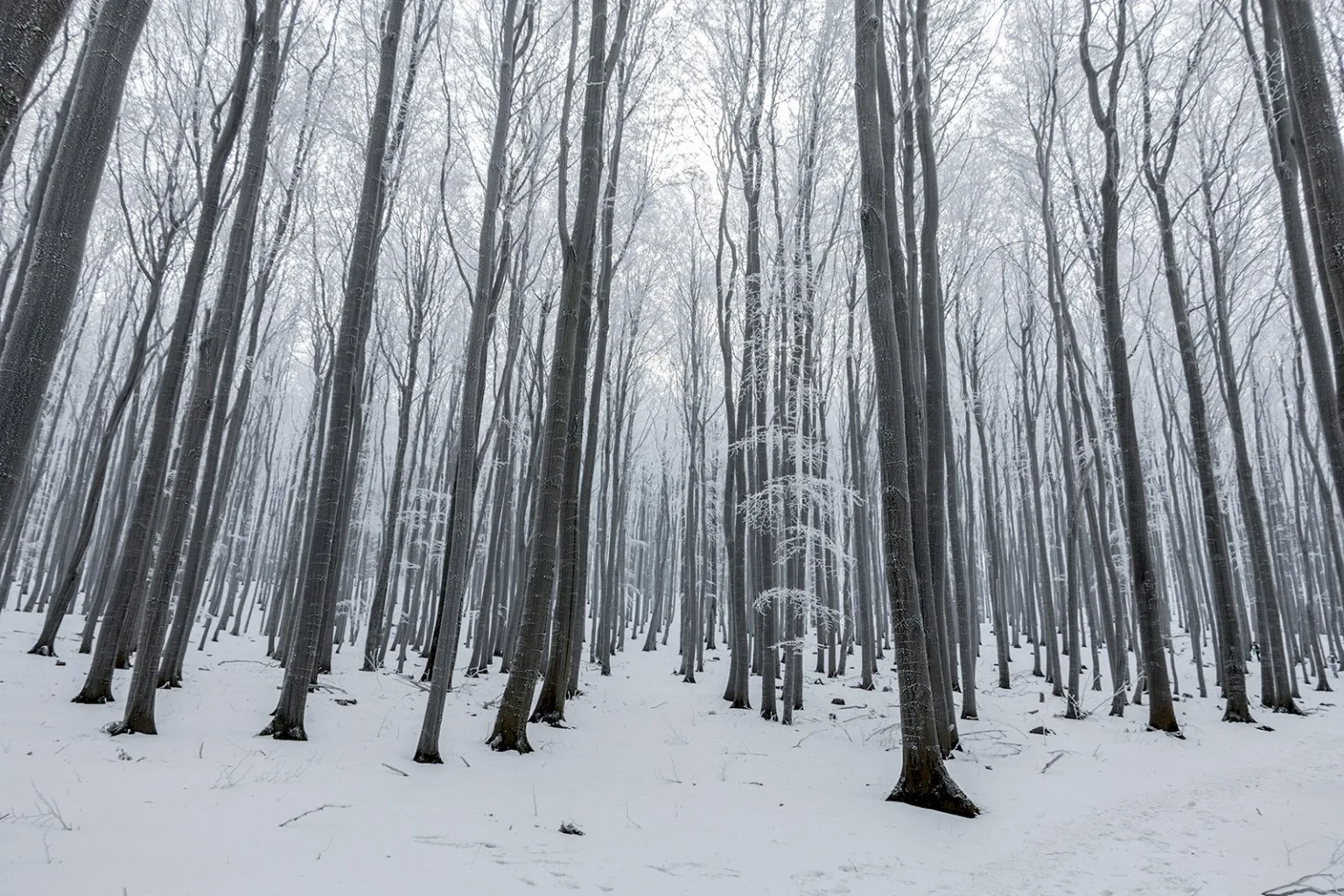 Vápenná (Roštún), Malé Karpaty