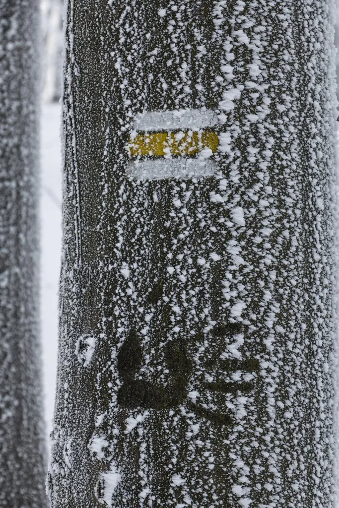 Vápenná (Roštún), Malé Karpaty