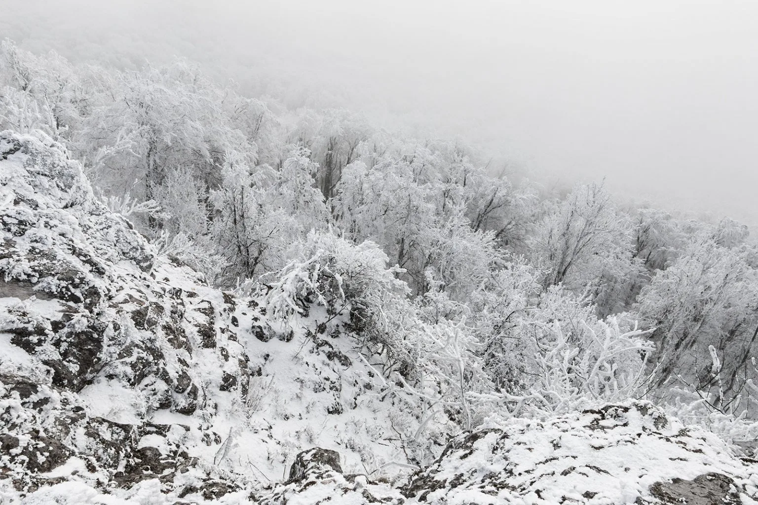 Vápenná (Roštún), Malé Karpaty