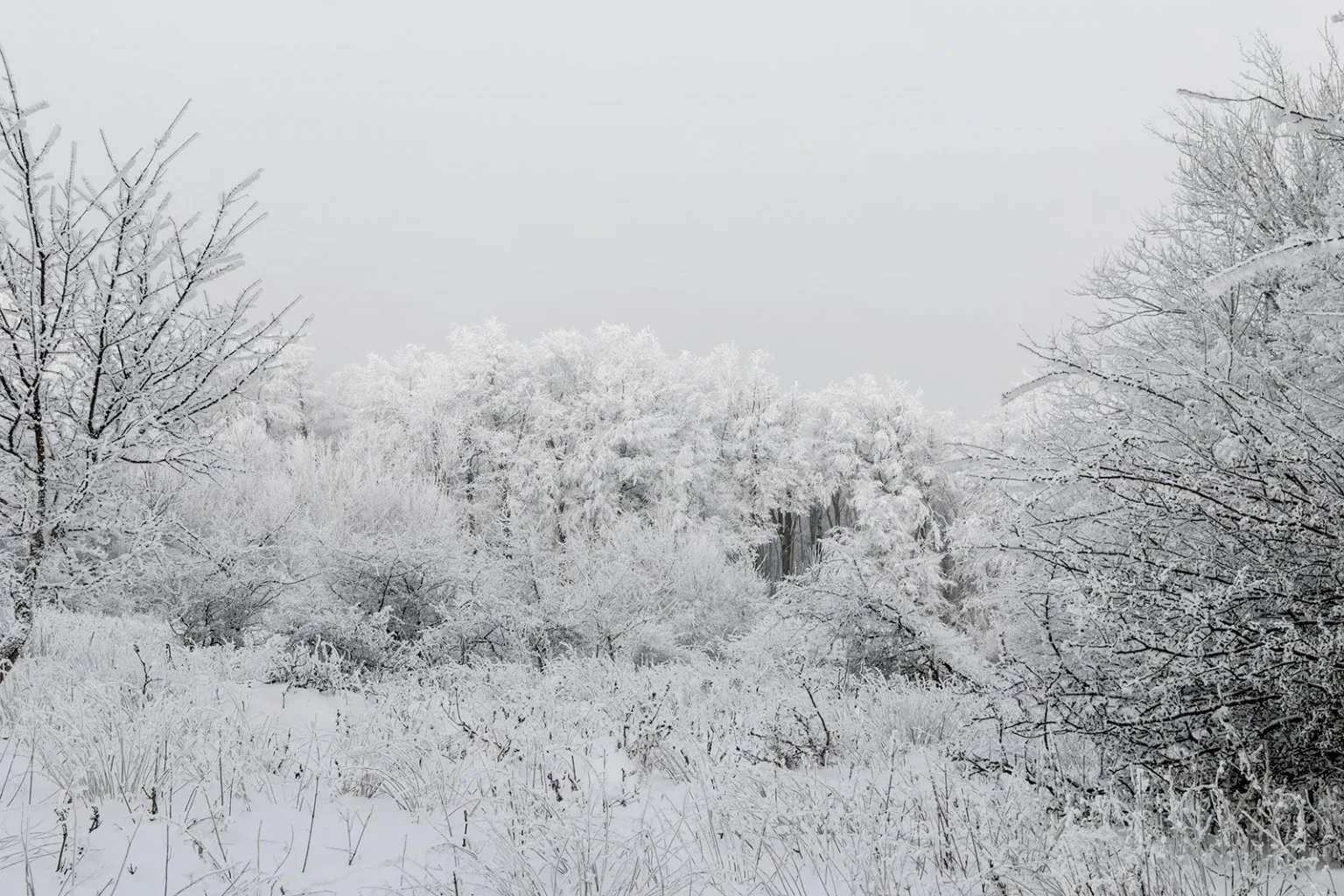 Vápenná (Roštún), Malé Karpaty