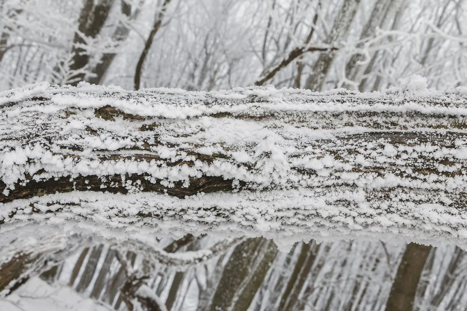 Vápenná (Roštún), Malé Karpaty