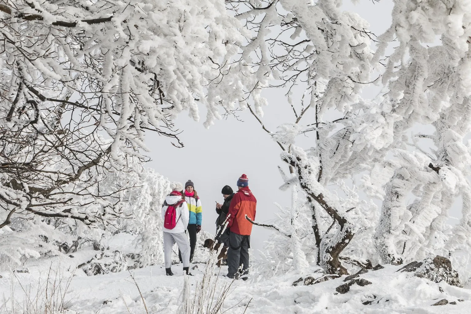 Vápenná (Roštún), Malé Karpaty
