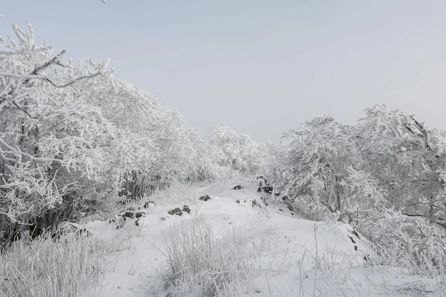 Vápenná (Roštún), Malé Karpaty