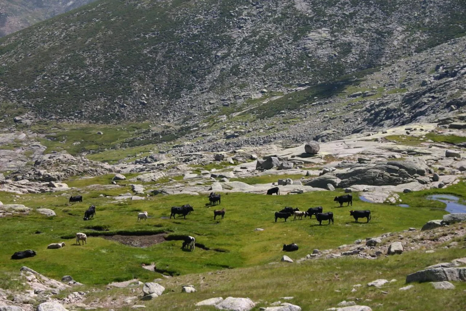Sierra de Gredos