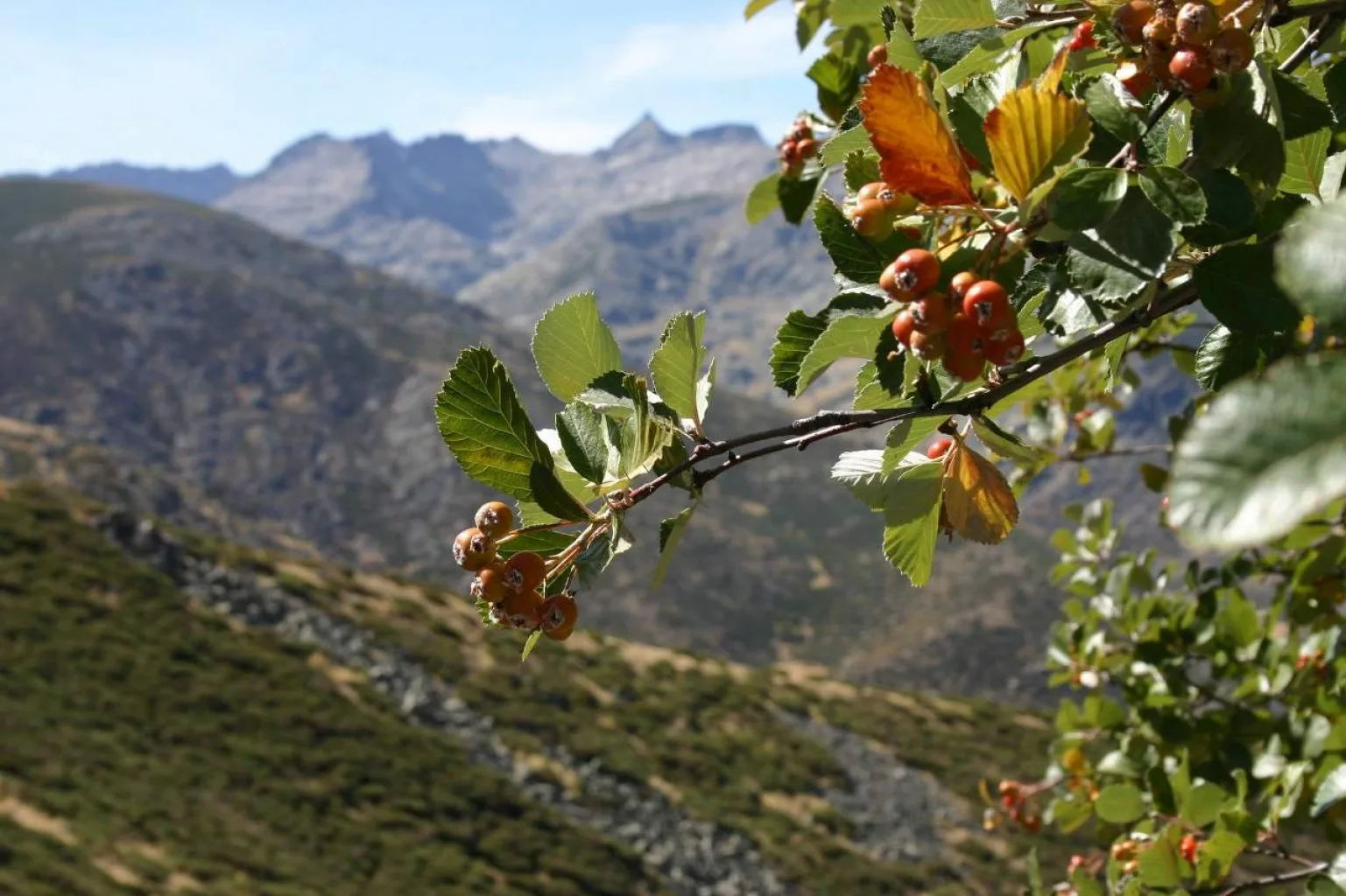 Sierra de Gredos