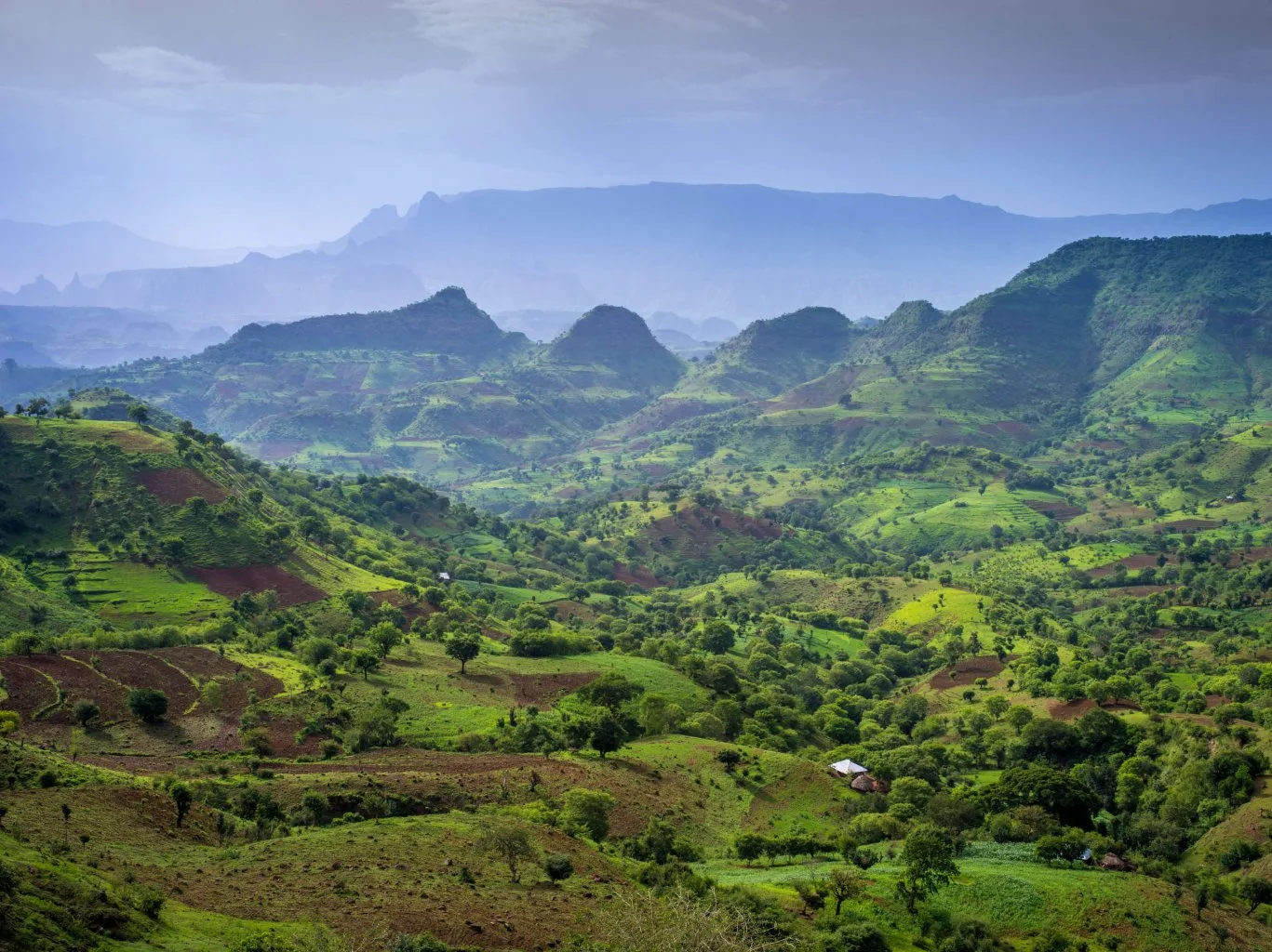 Simien Mountains National Park