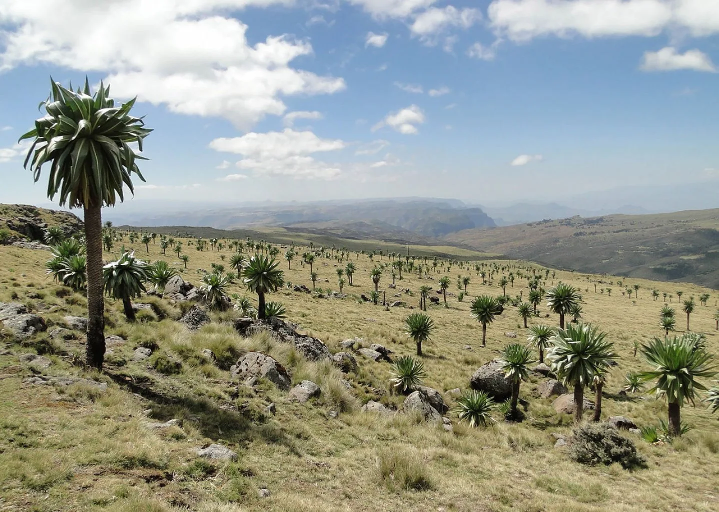 Simien Mountains National Park