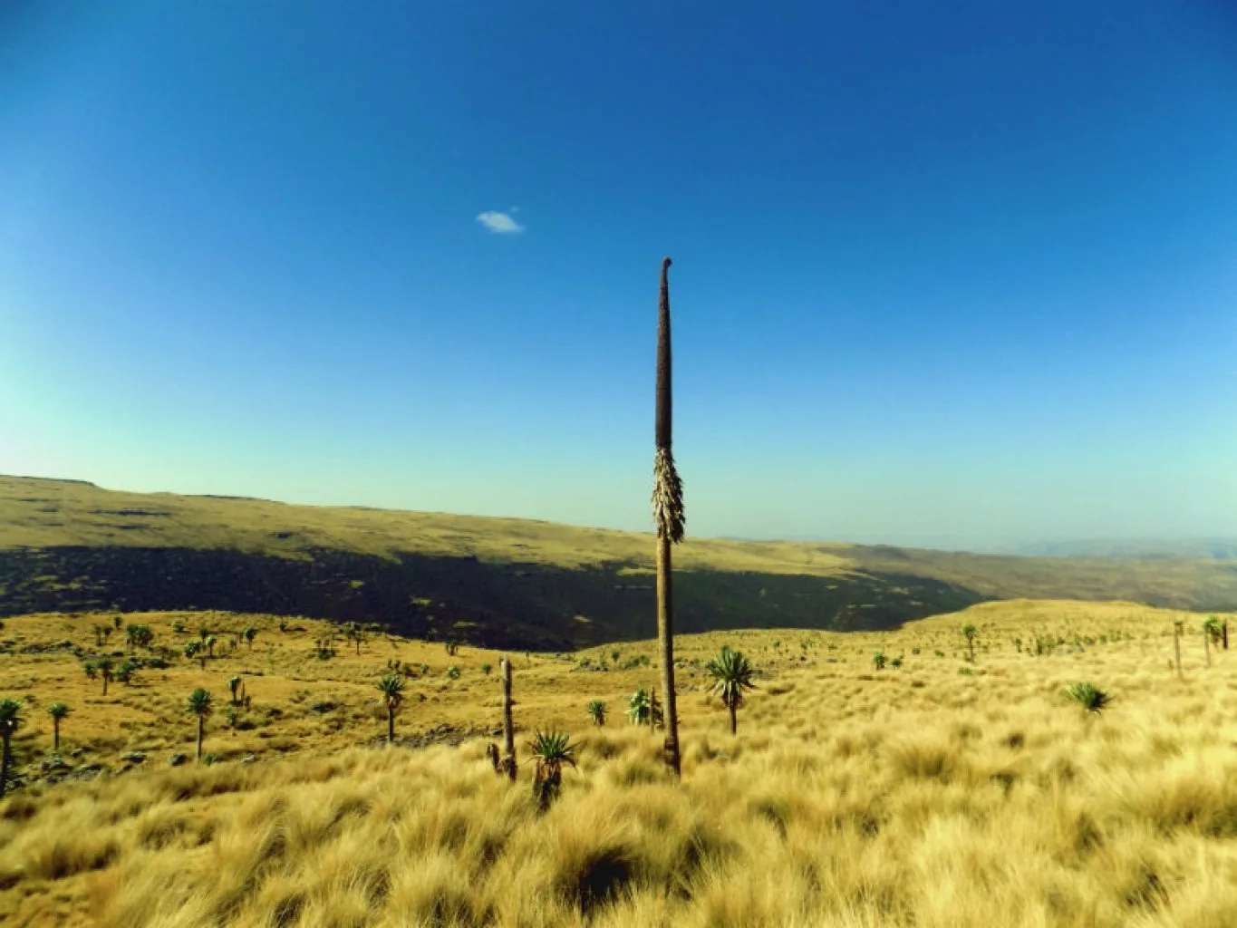Simien Mountains National Park