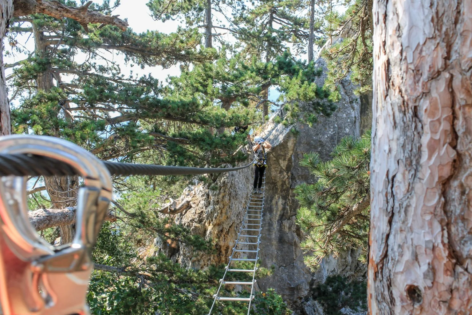 Denník nádejného dobrodruha, 5. záznam. Návrat na Hohe Wand
