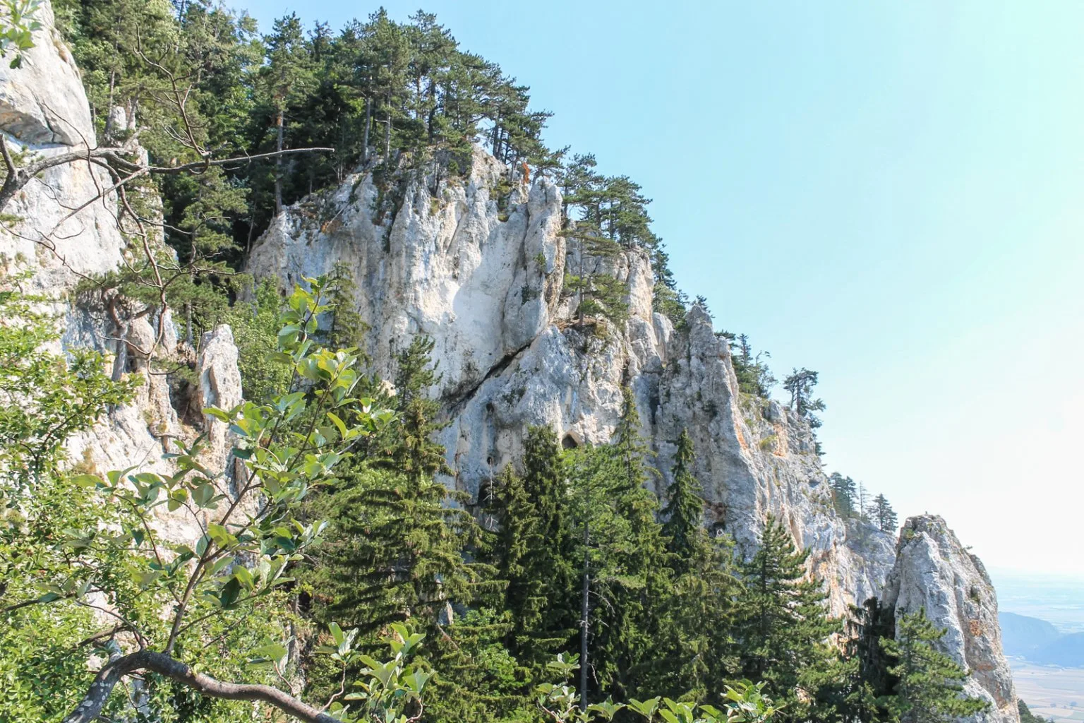 Denník nádejného dobrodruha, 5. záznam. Návrat na Hohe Wand