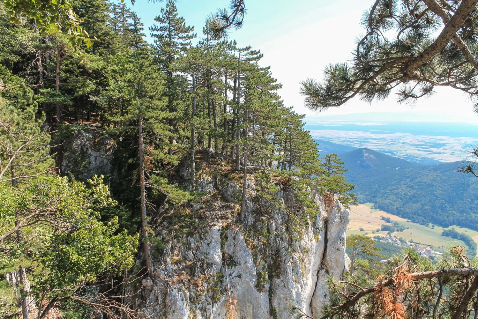 Denník nádejného dobrodruha, 5. záznam. Návrat na Hohe Wand