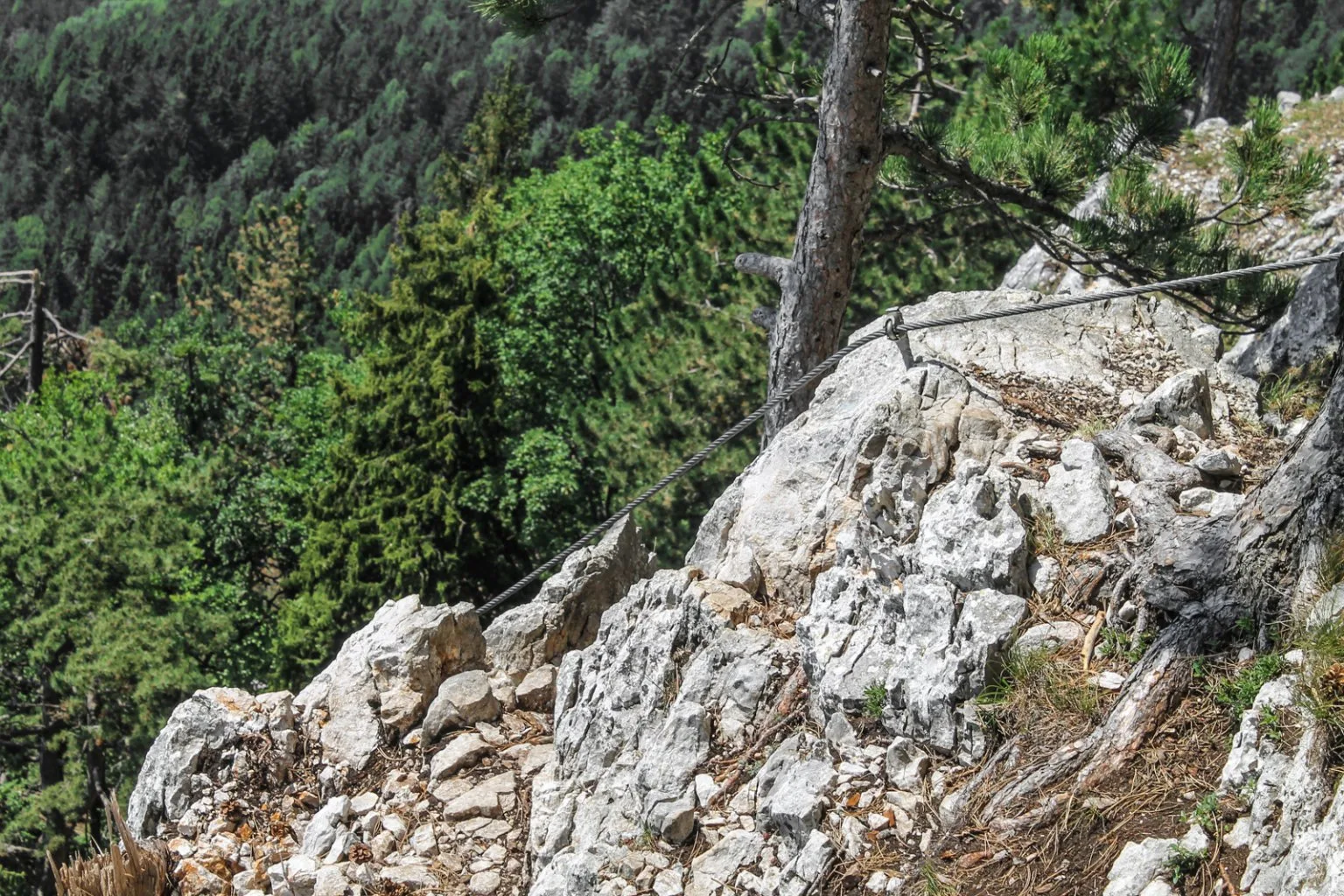 Denník nádejného dobrodruha, 5. záznam. Návrat na Hohe Wand