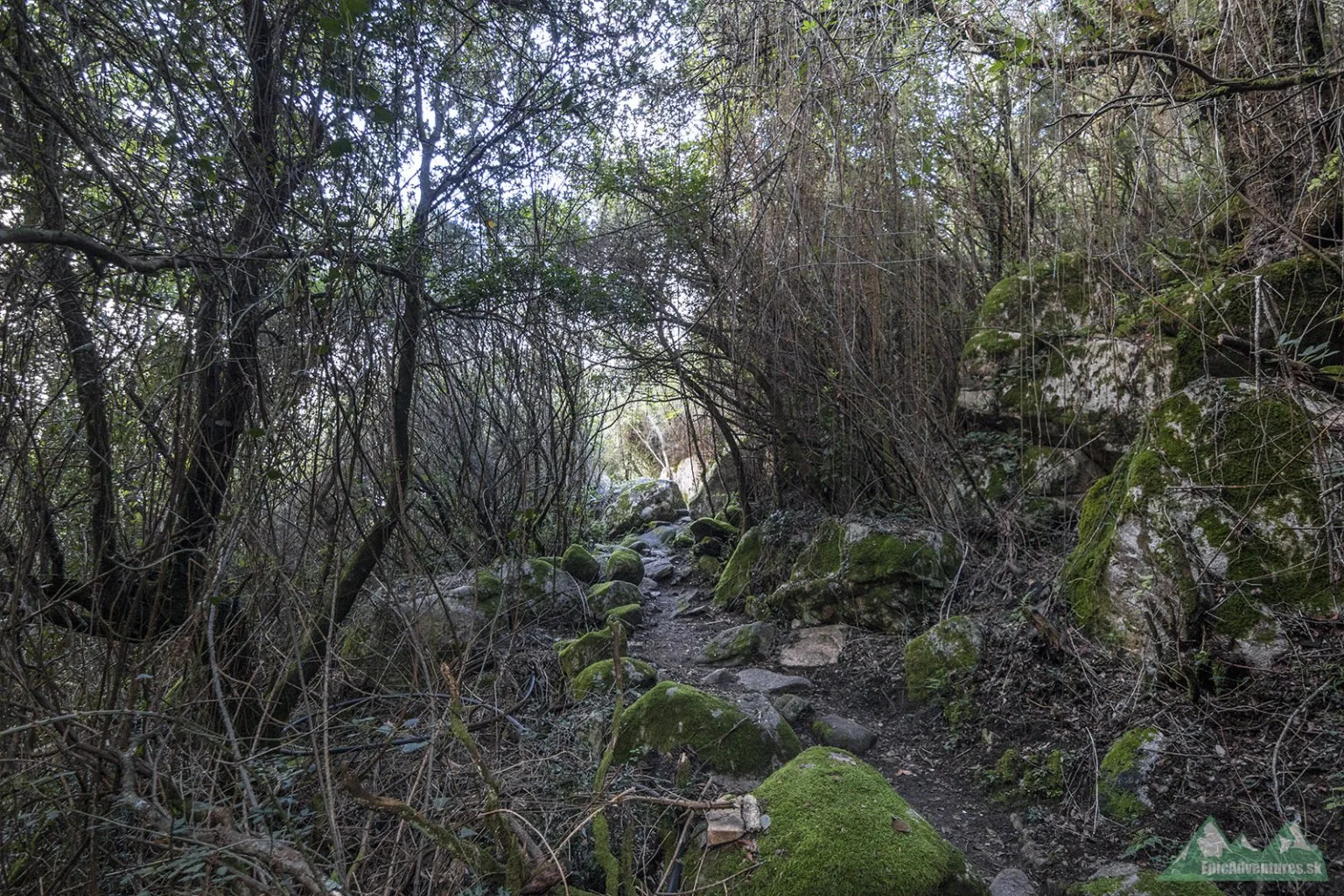 Úzka cestička cez macchiu