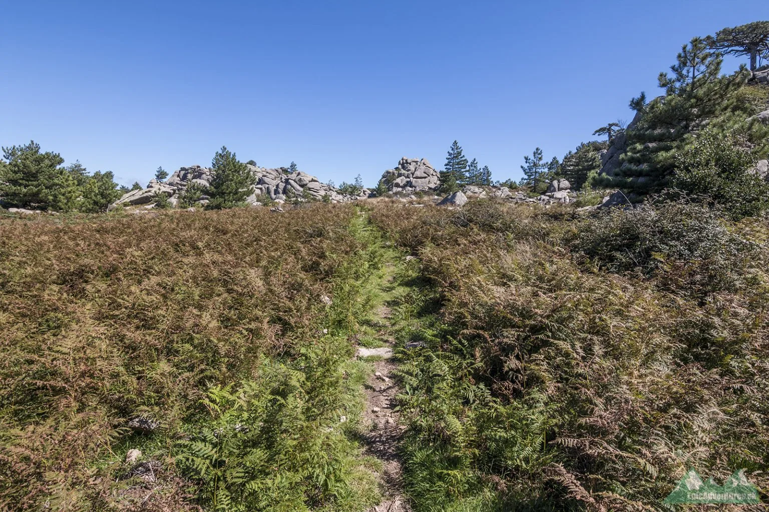 Col du Monaco, Uomo di Cagna 