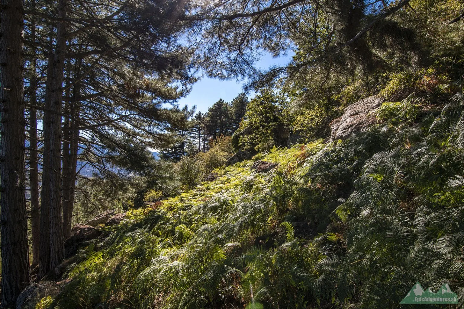 Arcu di u Scandulaghju 