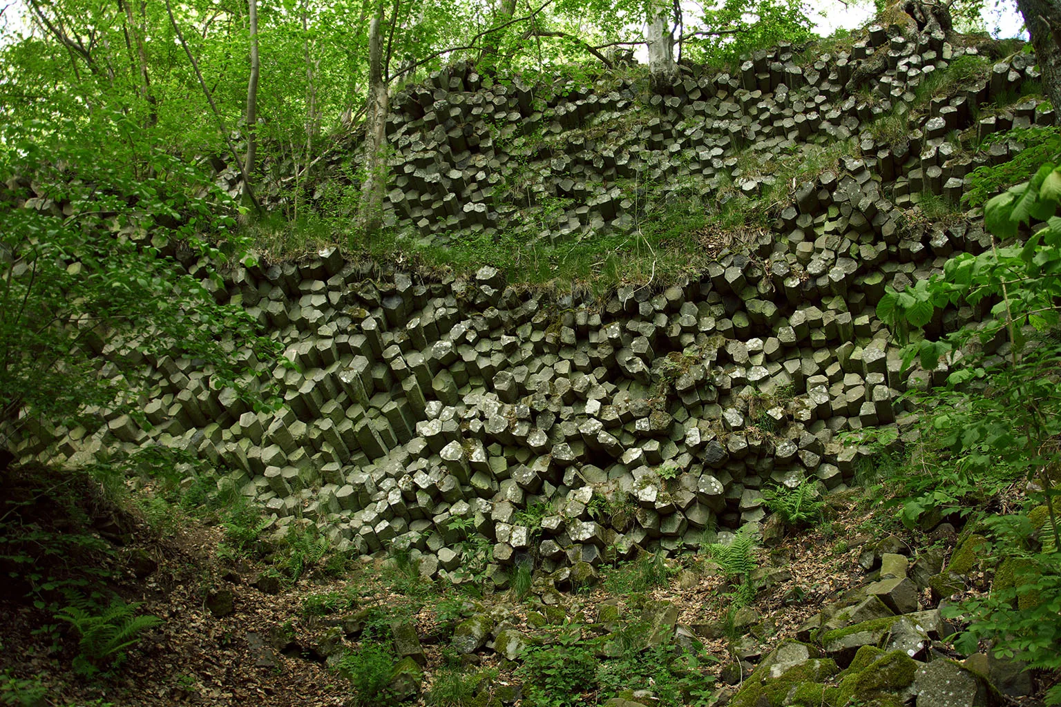 Foto: Barbara Michalski, wikimedia.org, CC BY-SA 3.0 DEED